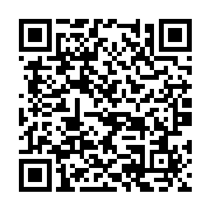 因为他们四人都已经看出被困在阵法内的曾非等人二维码生成