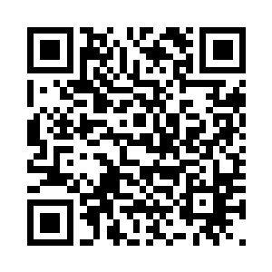 因为他们在设定中是人类的子文明嘛二维码生成