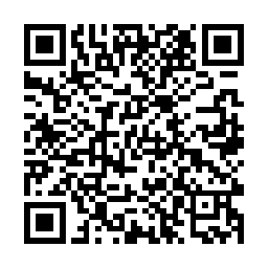 因为他们实在是太害怕自己少爷这次送来的这个病人二维码生成