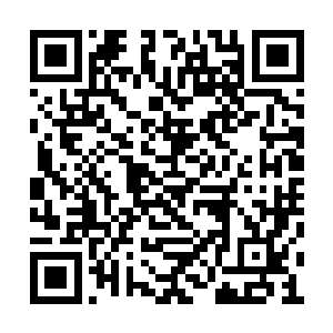 因为他们对公子们可以嗤之以鼻保持自己的轻傲二维码生成