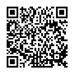 因为他们已经是发现秦宇的目光看向了他们会场里的原石了二维码生成