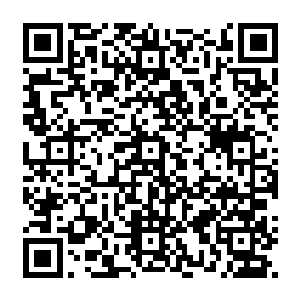 因为他们已经被地球反侵略联合作战司令部这个地球反抗外敌侵略的最高协调机构立法二维码生成