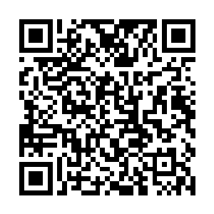 因为他们忽然发觉抵抗都完全是一件十分徒劳的事情二维码生成