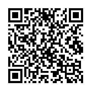 因为他们所有人心中都清楚眼前的大小姐从小就非同凡响二维码生成