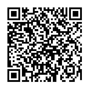 因为他们手中的圣兵都被紫青剑灵的本源力量斩出了一道两指大小的缺口二维码生成