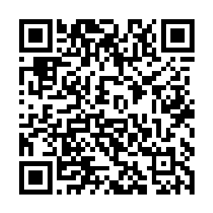 因为他们是大荒战院从天南海北寻找到的最优秀学生二维码生成