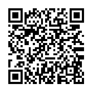 因为他们本可以在武道联盟过着安安稳稳的日子二维码生成
