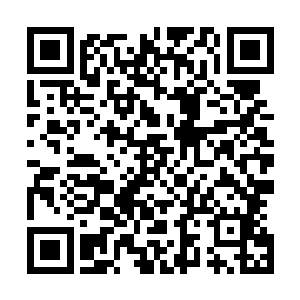 因为他们正努力的在这个浮澡健忘的世界里留下自己的印迹二维码生成