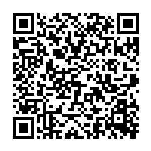因为他们此时的十二诸象大阵的频率与许紫烟发出的频率完全融合二维码生成