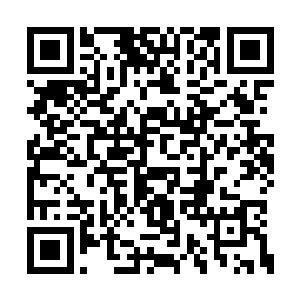 因为他们用自己的价值观来衡量那根羽毛的分量二维码生成