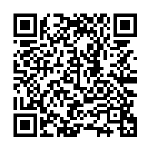 因为他们的瞬间爆发伤害不足以突破龙鳞铠甲的天然防护二维码生成