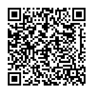因为他们的老师又带着他们走上了另外一条他们以前根本不敢想象的道路二维码生成