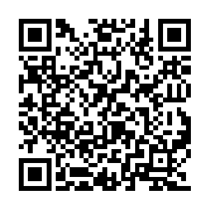 因为他们看到三辆装载机不但没有停下来的意思二维码生成