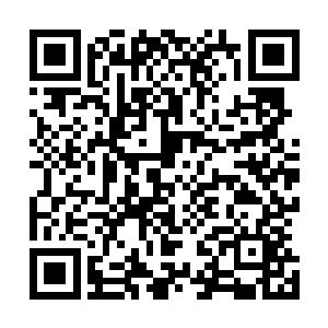 因为他们看到黄鳞雨馨还有那三个特种兵都一脸凝重的样子二维码生成