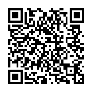 因为他们知道凌菲做的这些麻烦事情都是为了他们二维码生成