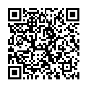 因为他们竟然发现在这个宫殿之内已经有了修士的存在二维码生成