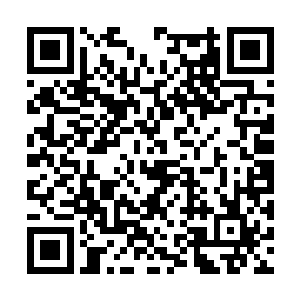 因为他们给自己属性值加了很多的魅力值和幸运值二维码生成