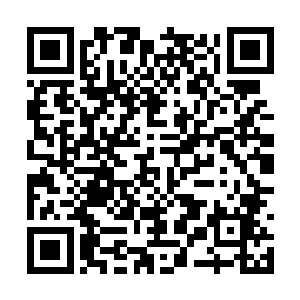 因为他们要在桑巴国进行一些香料的收集研究采购二维码生成