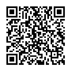 因为他们都害怕雨儿将来成长到一个极高的地步二维码生成