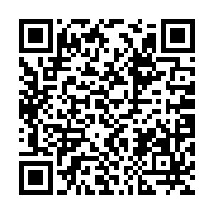 因为他们都怀疑族长能不能正确的认出他们的脸来二维码生成
