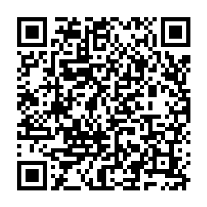 因为他发现服部久成和他那个宗师级巅峰的老者却还是毫发无伤的……并且二维码生成