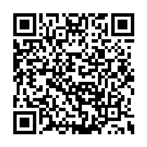 因为他发现自己以无上意志破掉对方的神级战技二维码生成