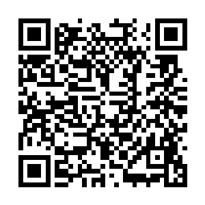 因为他发现自己手中的储物戒指之中竟然空空如也二维码生成