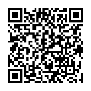 因为他发现许多演员在饰演角色时都有特殊的节奏和语调二维码生成