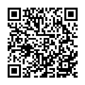 因为他只能双手紧紧的抓住长袍的衣角让它裹住脑袋和上半身二维码生成