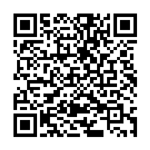 因为他喜欢在赌场一掷千金所以拿这只猫来羞辱他二维码生成