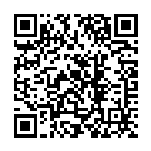 因为他坚信……秦方绝对不可能召唤得出神兽兽魂的二维码生成