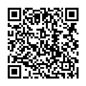 因为他基本上要沉沦的时候出现了和妞妞一样的身影二维码生成