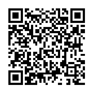 因为他安排叫冤的人罪名明明是要控诉林家霸占他家女儿的二维码生成