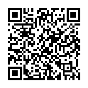 因为他完全无法想象一个人如果能回到太古时代遇到帝族二维码生成