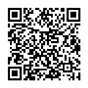 因为他实在是难以将眼前这具有无敌之姿的皓月仙子二维码生成