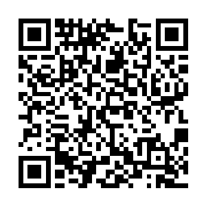 因为他对前身的了解实在不像是一个古典文学专业出身的人二维码生成