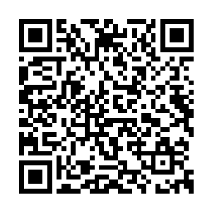 因为他已经想好了该给饿鬼王取一个什么名字了二维码生成