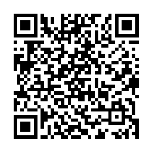 因为他已经感觉到孟瑶的肚子内有着一条幼小生命的气息二维码生成