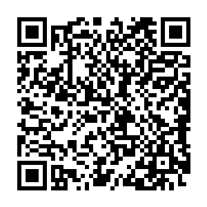 因为他已经看到有人开始拿着铺盖卷在市委大院门口开始搭理床铺了二维码生成