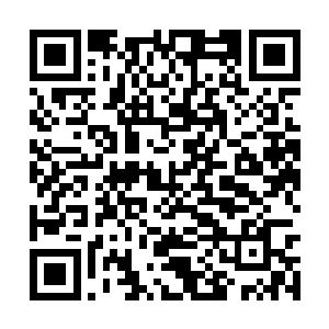 因为他已经见识过一次妖族天才恐怖的恢复速度了二维码生成