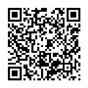 因为他引以为傲的肉身竟然在上一道劫雷中被毁灭了二维码生成