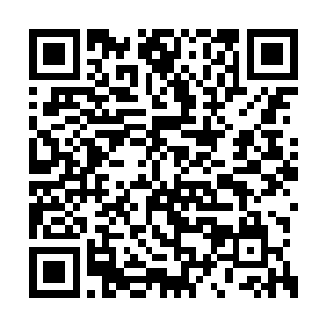 因为他当年花费了半个月才到达符神人境界初期二维码生成
