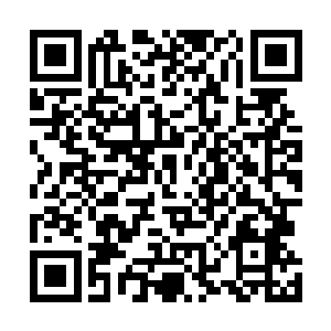 因为他当真是感觉到了自己和天道的身体竟然在减缓速度二维码生成