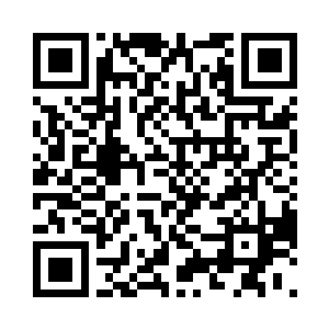 因为他得罪的人可是佣兵之城的大长老二维码生成