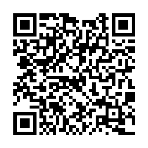 因为他惊骇的发现自己体内多出了一个怪异的东西二维码生成