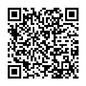 因为他想赶在苏门接受完整的传承前就掐灭所有可能二维码生成