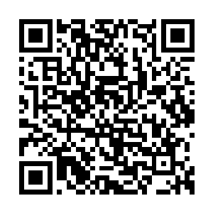 因为他想验证自己手里的权力的真实性和扩展性二维码生成