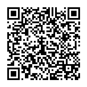 因为他感觉到了那股充满了强大生机的轮回之印仿佛要把时间给倒流了一般二维码生成