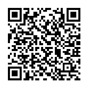 因为他所有的货物都会标记上免于检查的外交物品二维码生成
