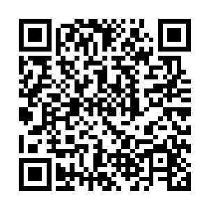 因为他手头上未分配的杀戮经验也就区区39点而已二维码生成